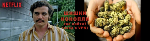 каннабис Арсеньев