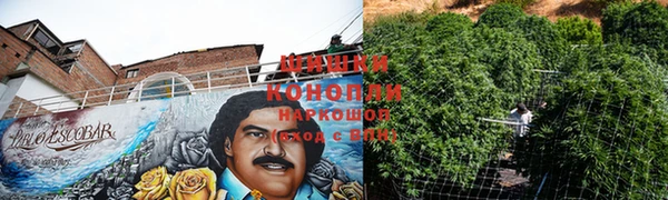 ГАЛЛЮЦИНОГЕННЫЕ ГРИБЫ Аркадак