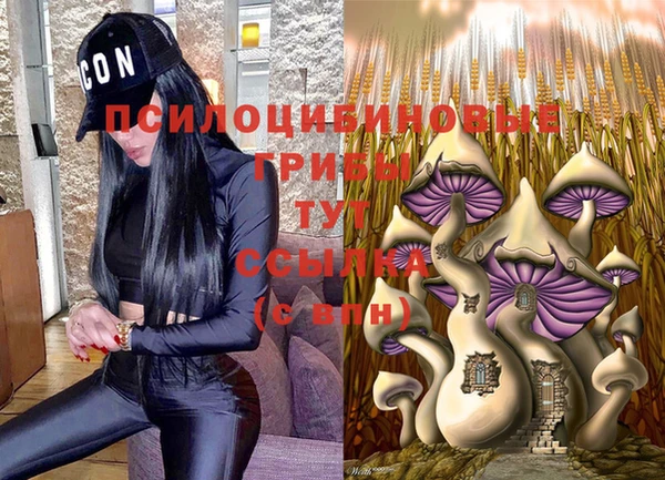 a pvp Приозерск