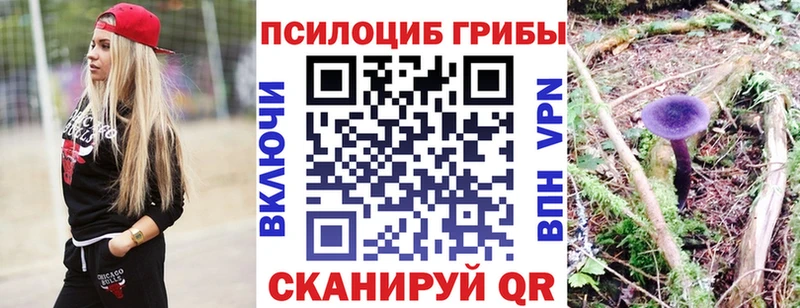 продажа наркотиков  Аткарск  Галлюциногенные грибы GOLDEN TEACHER 